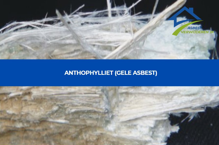 Anthopahylliet - Gele Asbest