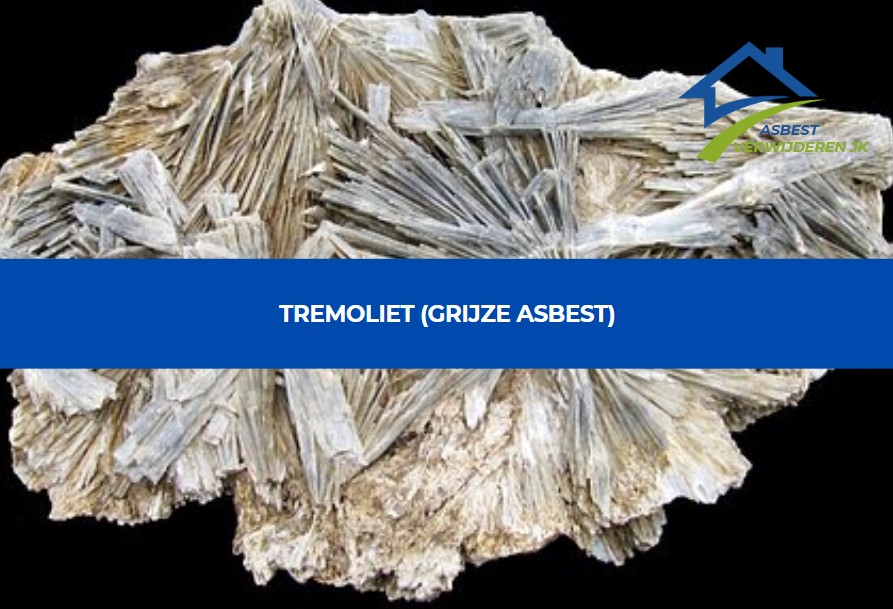 Tremoliet - Grijze Asbest