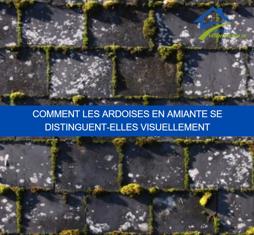 Comment les ardoises en amiante se distinguent-elles visuellement