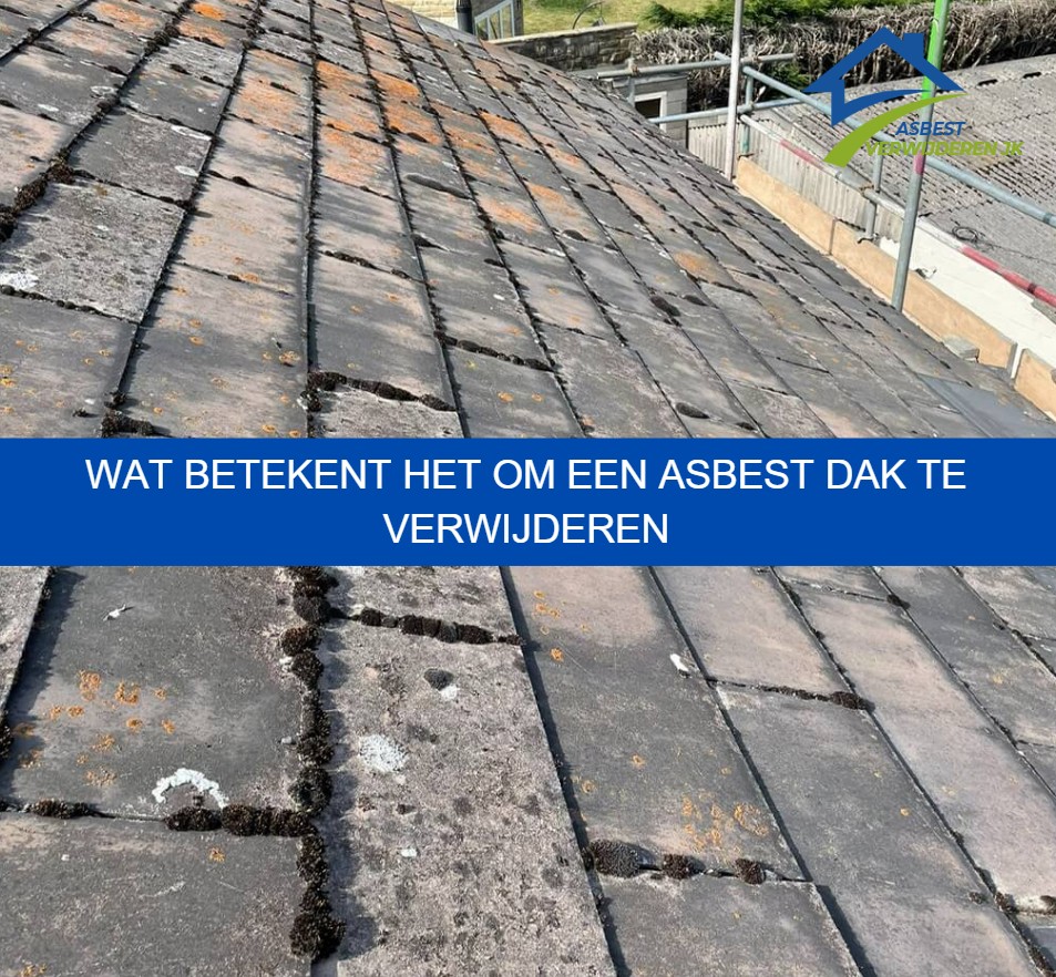 Wat betekent het om een asbest dak te verwijderen